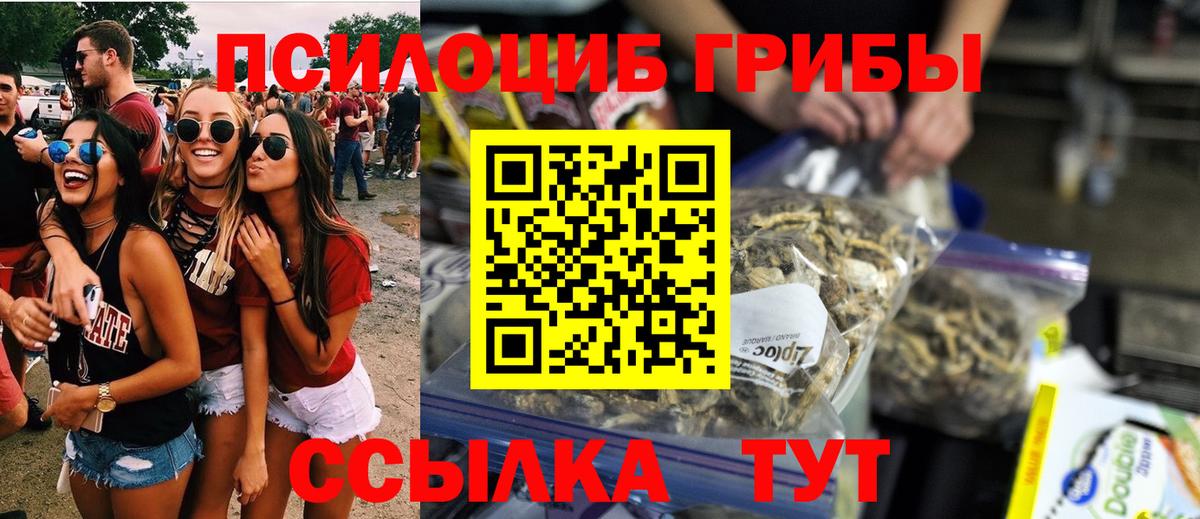 Псилоцибиновые грибы Psilocybine cubensis Вязьма