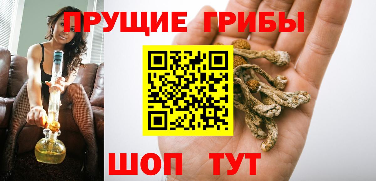 Галлюциногенные грибы MAGIC MUSHROOMS  Вход с VPN  Вязьма 